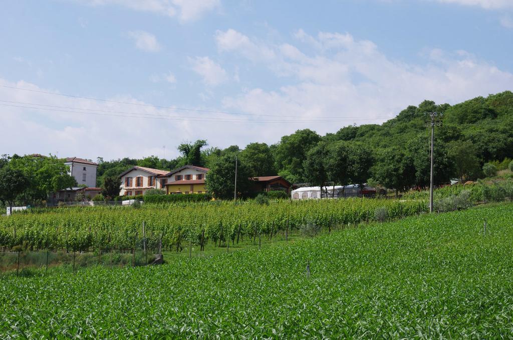 Agriturismo Casa Villi Solferino Bagian luar foto